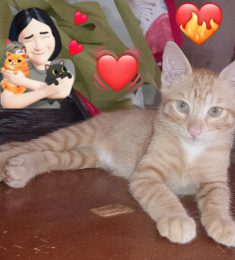 Pedro, 29 años, Hombre Cis, Tapachula, México